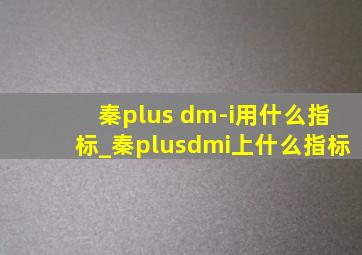 秦plus dm-i用什么指标_秦plusdmi上什么指标